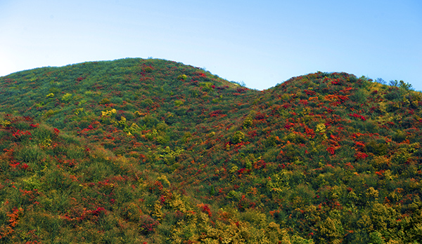 _dsc8680a.jpg