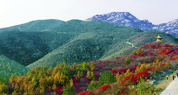 _dsc8781a.jpg