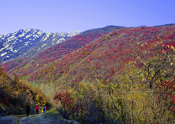 _dsc8685a.jpg