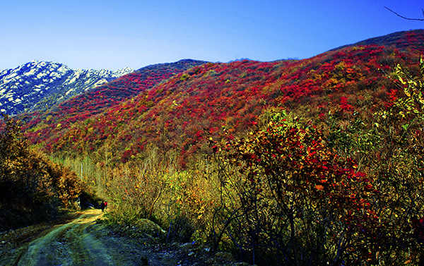 _dsc8687a.jpg