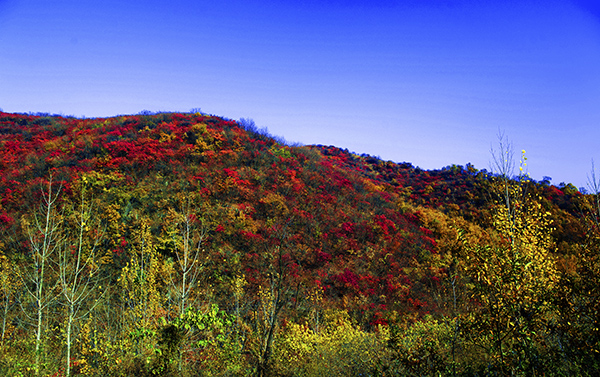 _dsc8689a.jpg