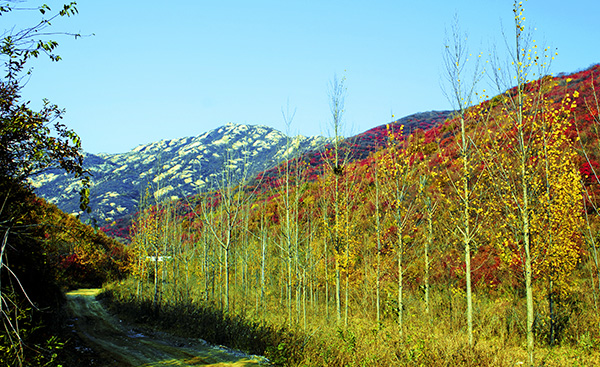 _dsc8694a.jpg