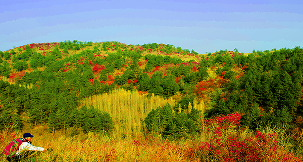 _dsc8768a.jpg