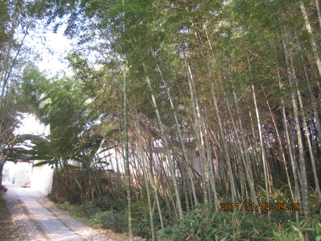 img_5855.jpg