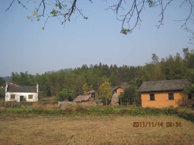 img_5861.jpg