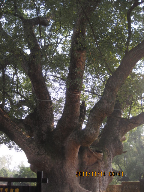 img_5869.jpg