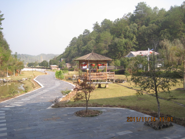 img_5900.jpg
