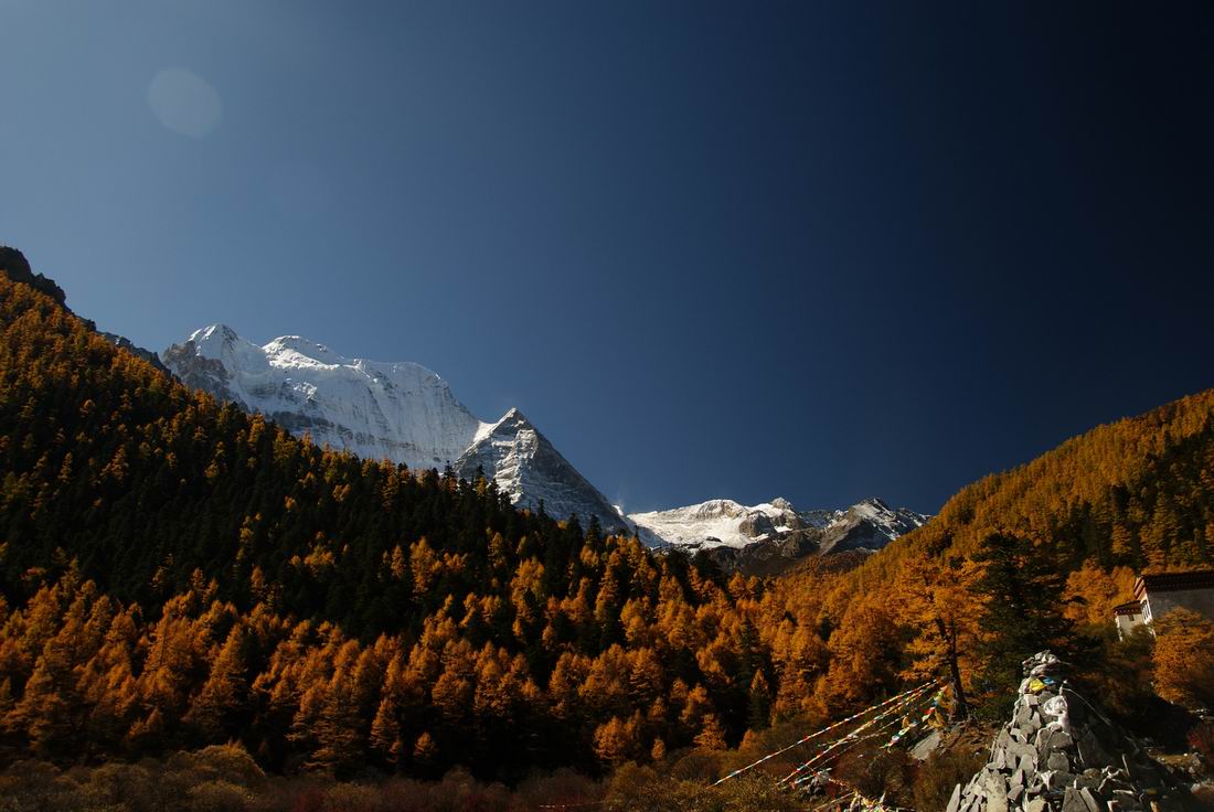neo_img_dsc01454.jpg