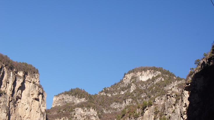 384.jpg