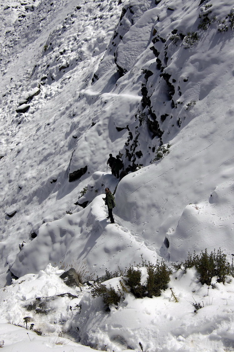 _igp6377.jpg