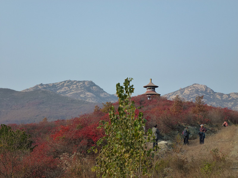 p1020244_.jpg