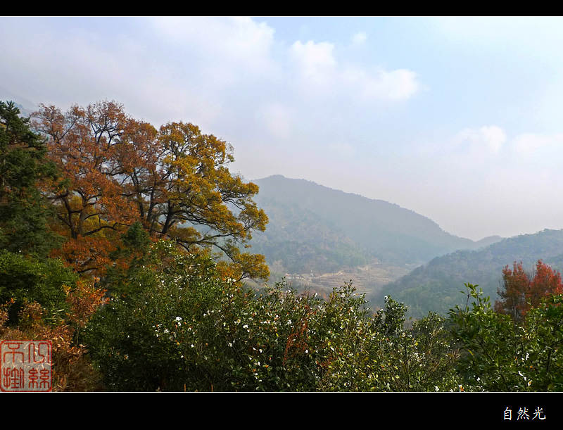 l1250774.jpg