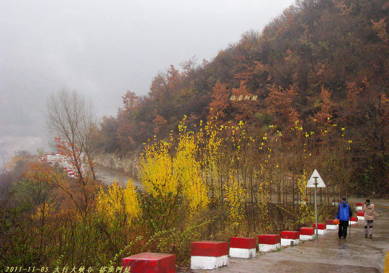 2011ʯҴϿ 1098-1.jpg