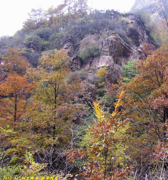 2011ʯҴϿ 1645--.jpg