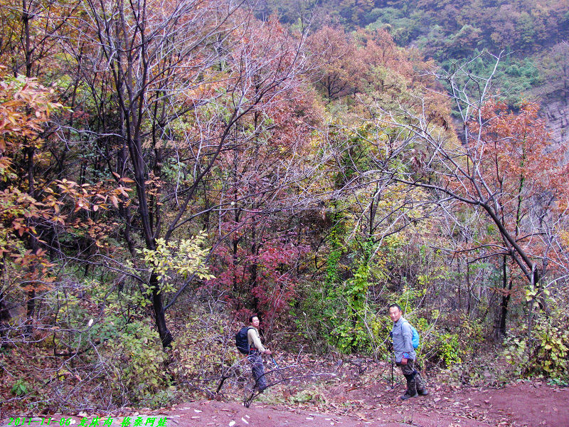 2011ʯҴϿ 1580-1.jpg