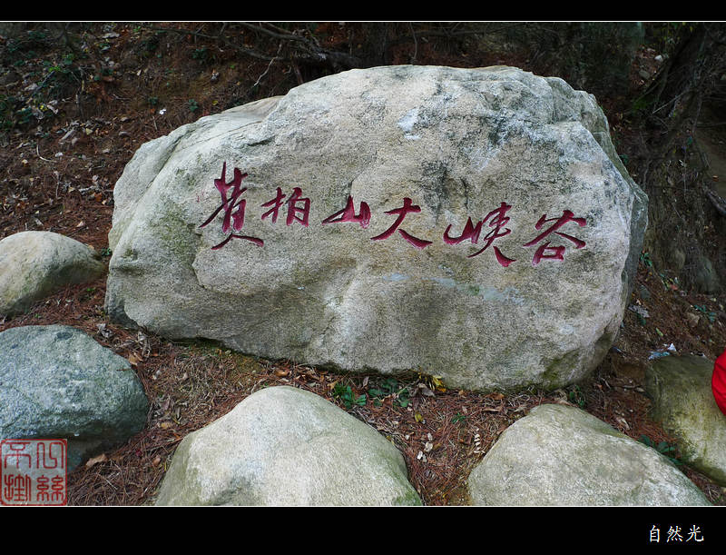 l1260214.jpg