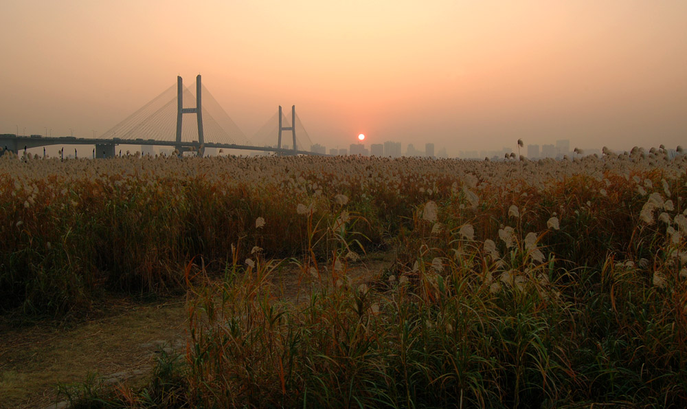 2011꽭̲«έճ (9).jpg