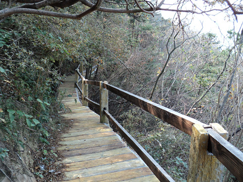 dsc06490_.jpg