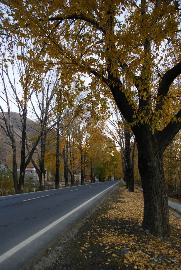 neo_img_dsc01625.jpg