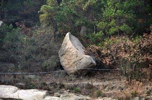 neo_img_dsc_1045.jpg