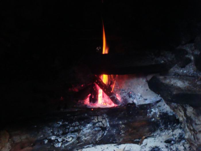 dsc08190.jpg