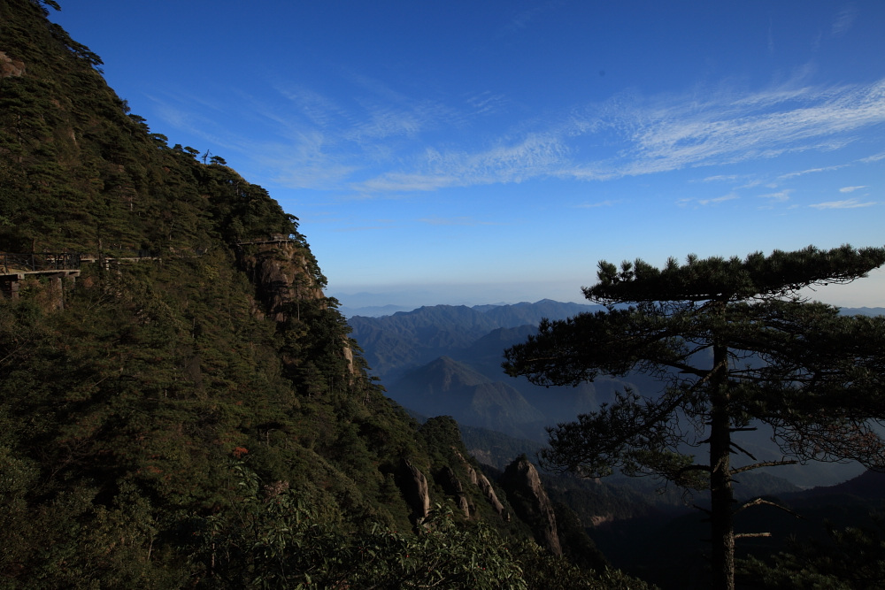 dpp_0572.jpg