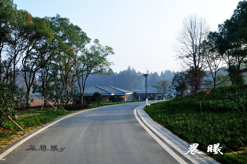 dsc_5215.jpg