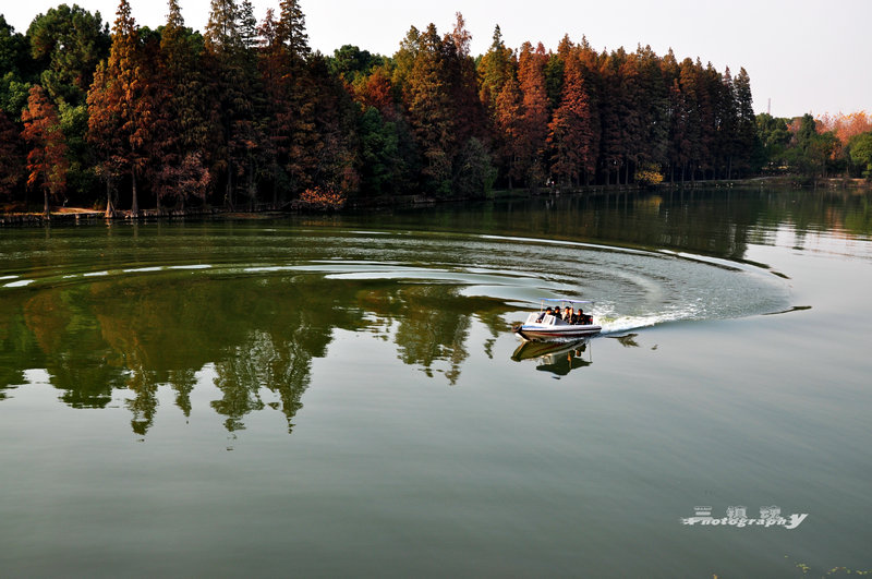 dsc_5565.jpg