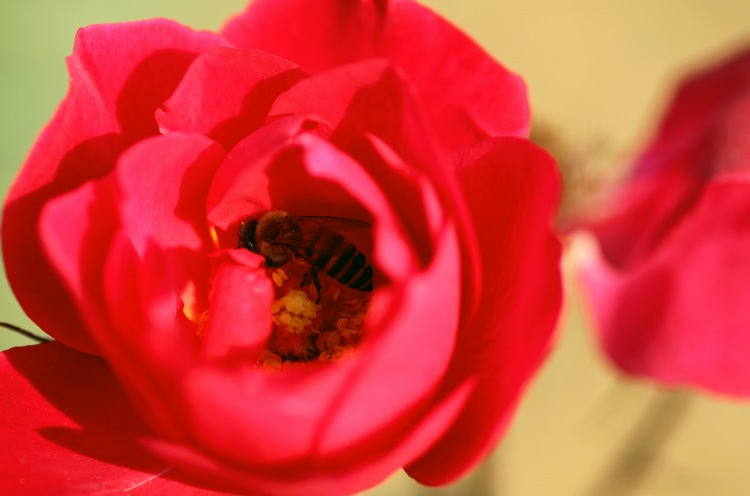 img_3172.jpg