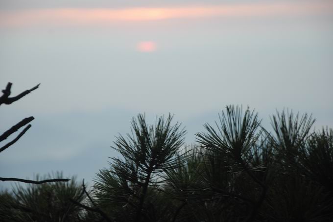 С dsc_0031.jpg
