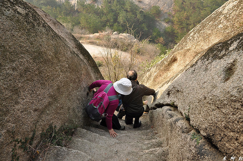 dsc_2844.jpg