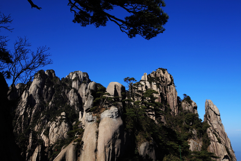 dpp_0589.jpg