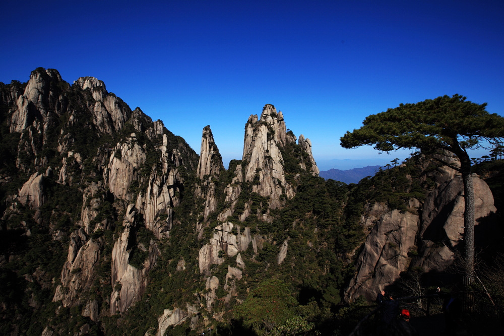 dpp_0590.jpg