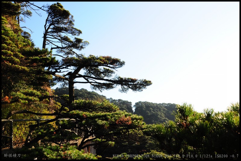 conew_dsc_0434.jpg