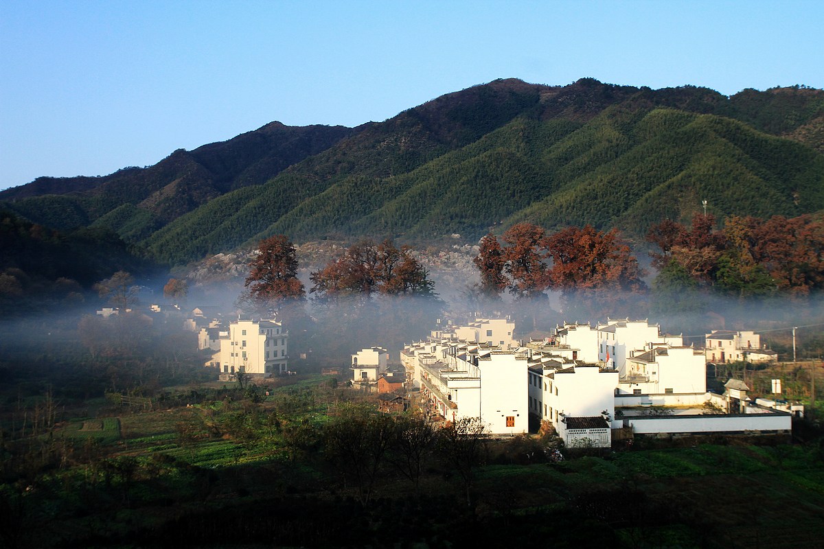 neo_img_img_8804.jpg