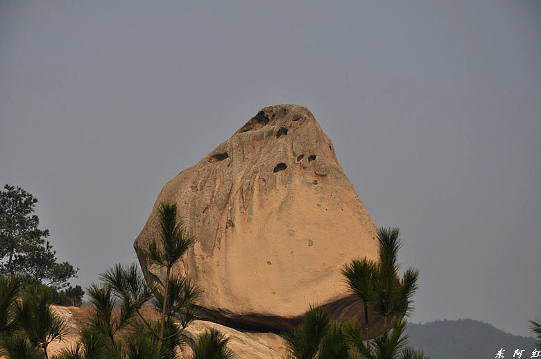 dsc_2879.jpg