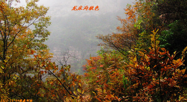 2011ʯҴϿ 108-2.jpg
