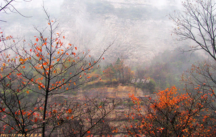 2011ʯҴϿ 073-1.jpg