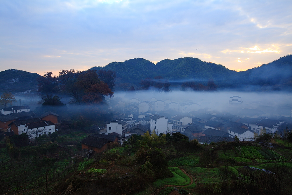 dpp_0630.jpg