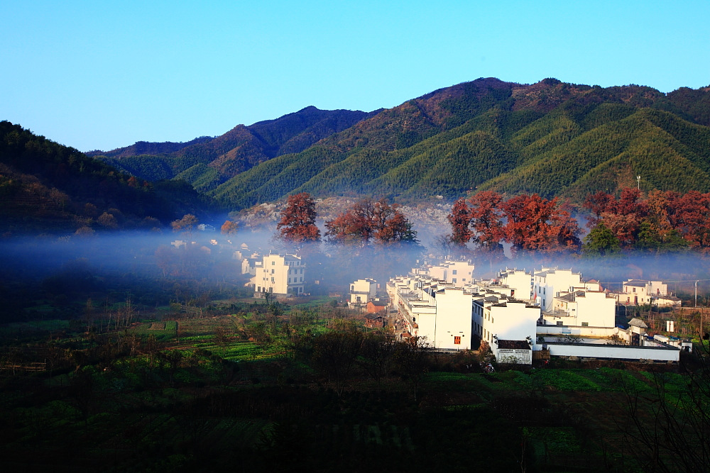 dpp_0635.jpg
