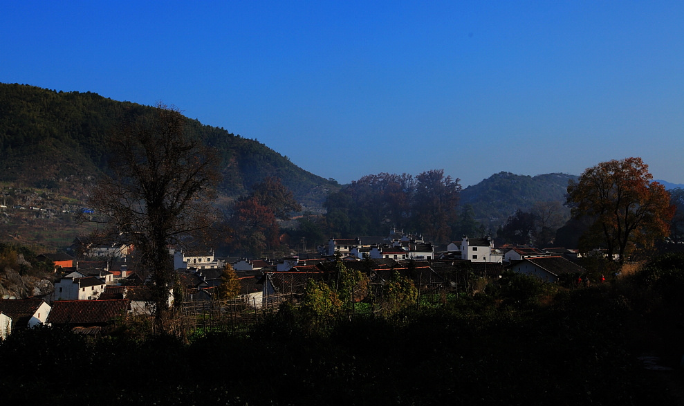 dpp_0637.jpg