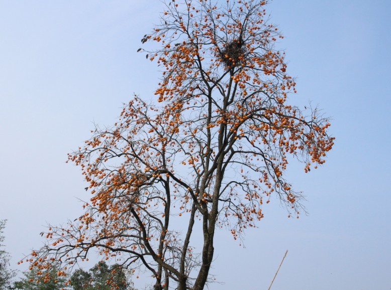 05.jpg