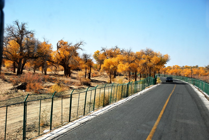dsc_0490.jpg