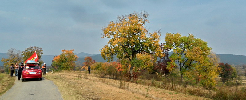 sam_4264_СС.jpg