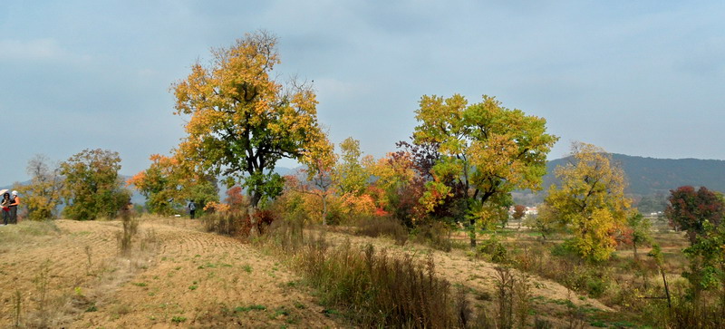 sam_4265_СС.jpg