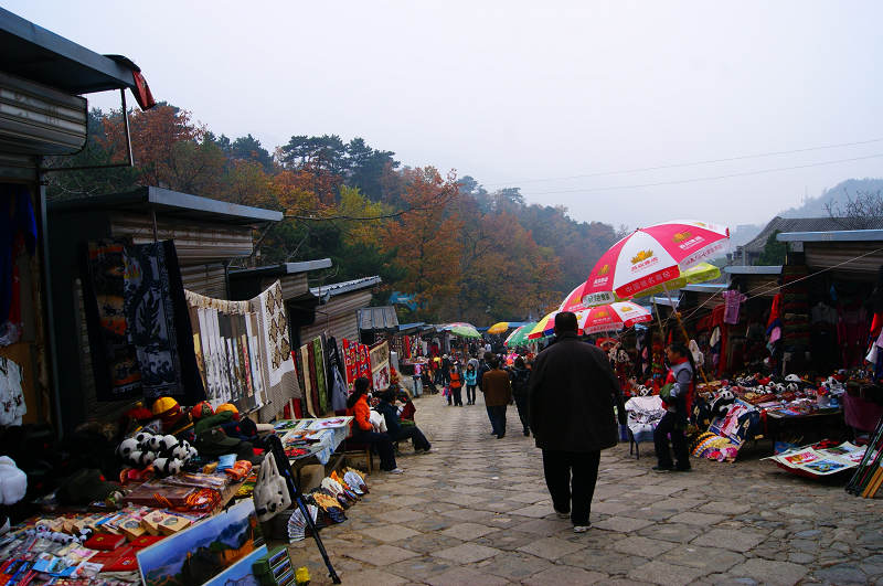 dsc01117.jpg