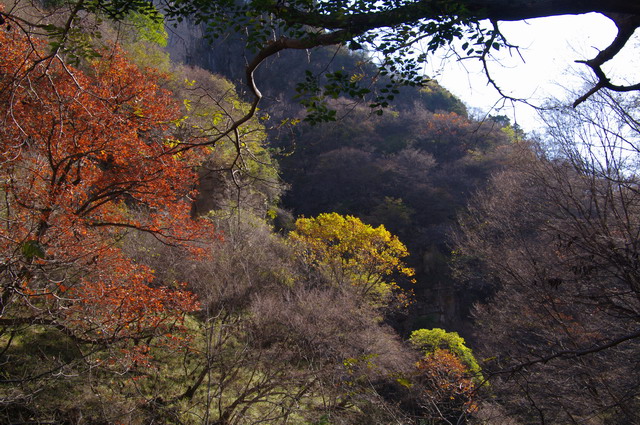 imgp3378s.jpg