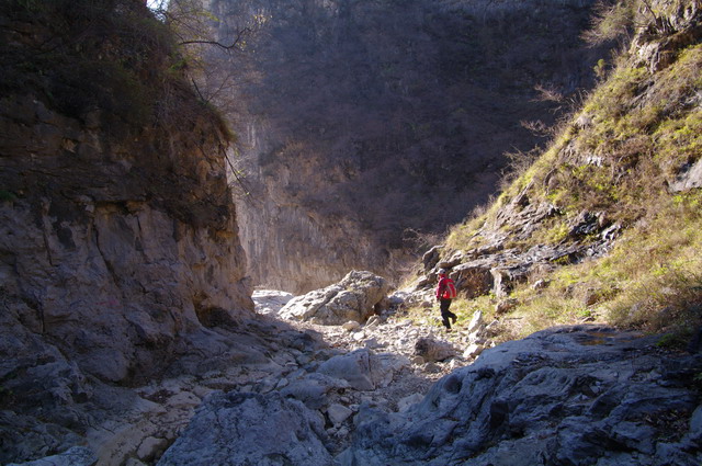 imgp3340s.jpg