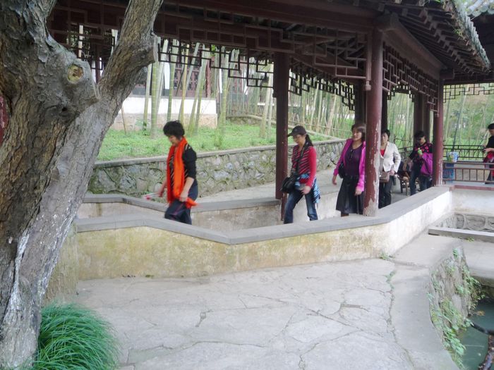 p1130586.jpg