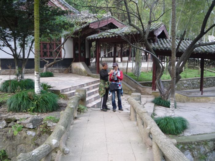 p1130588.jpg